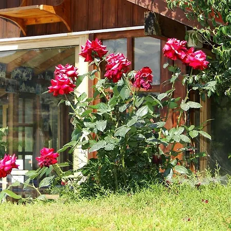 Ampelokipi Hotel apartamentowy 3*