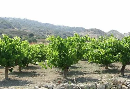 Hotel apartamentowy Ampelokipi 3*