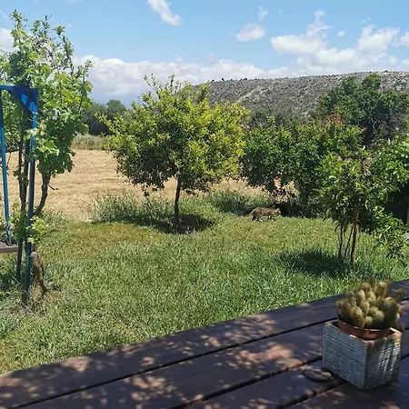 Lägenhetshotell Ampelokipi Pissouri